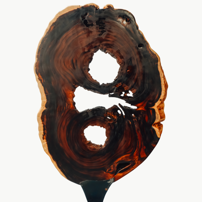 Eye Of The Wood