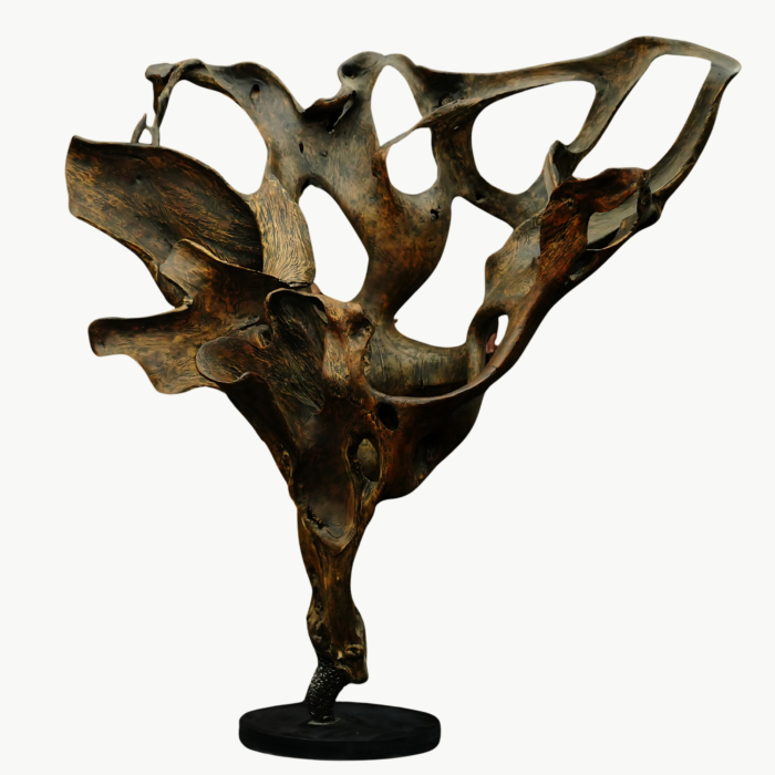 Fossil Symphony