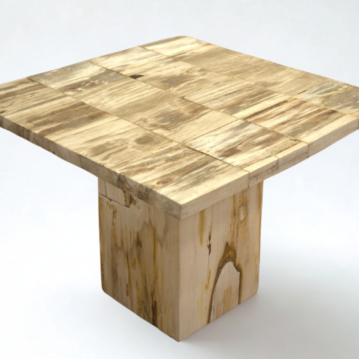 Table bois pétrifié carrée