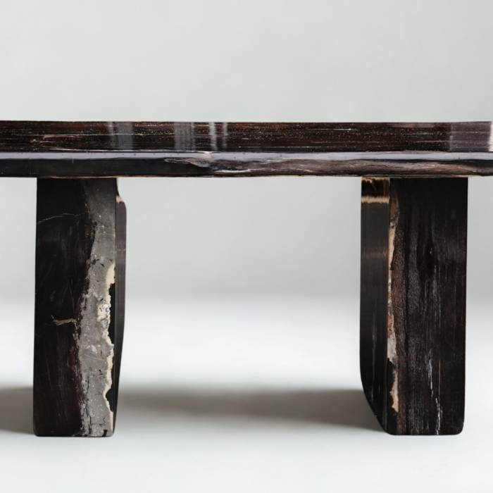 Table bois pétrifié rectangle