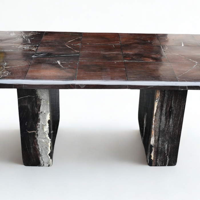 Table bois pétrifié rectangle