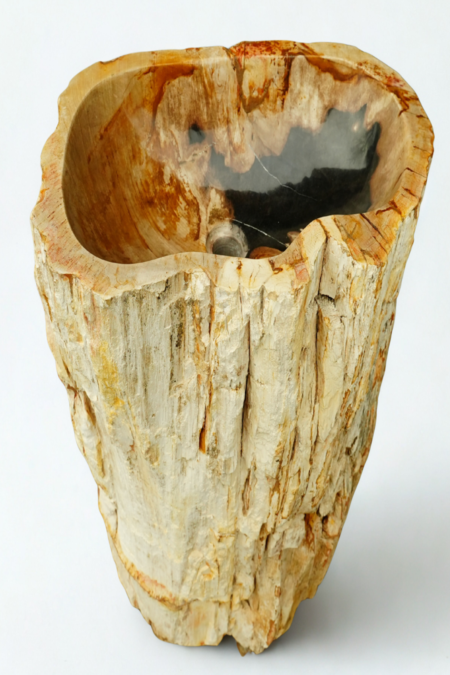 Vasque bois pétrifié