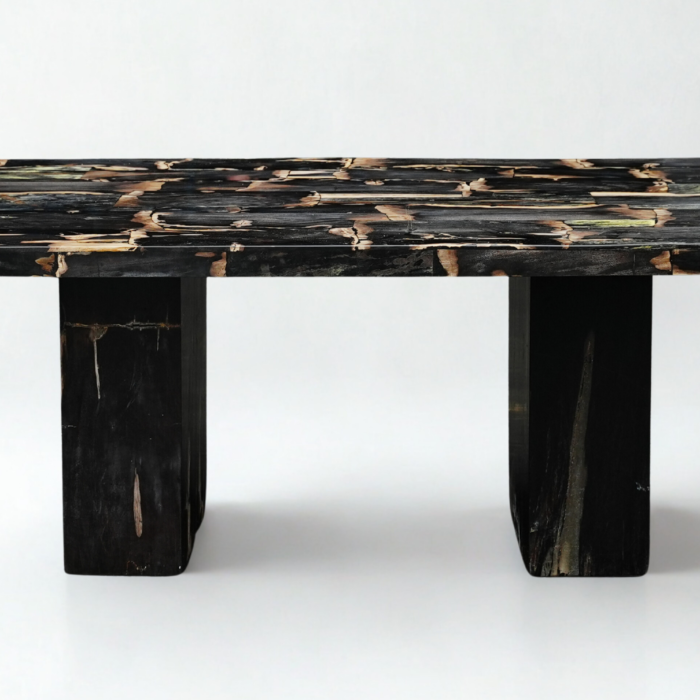 Table bois pétrifié rectangle