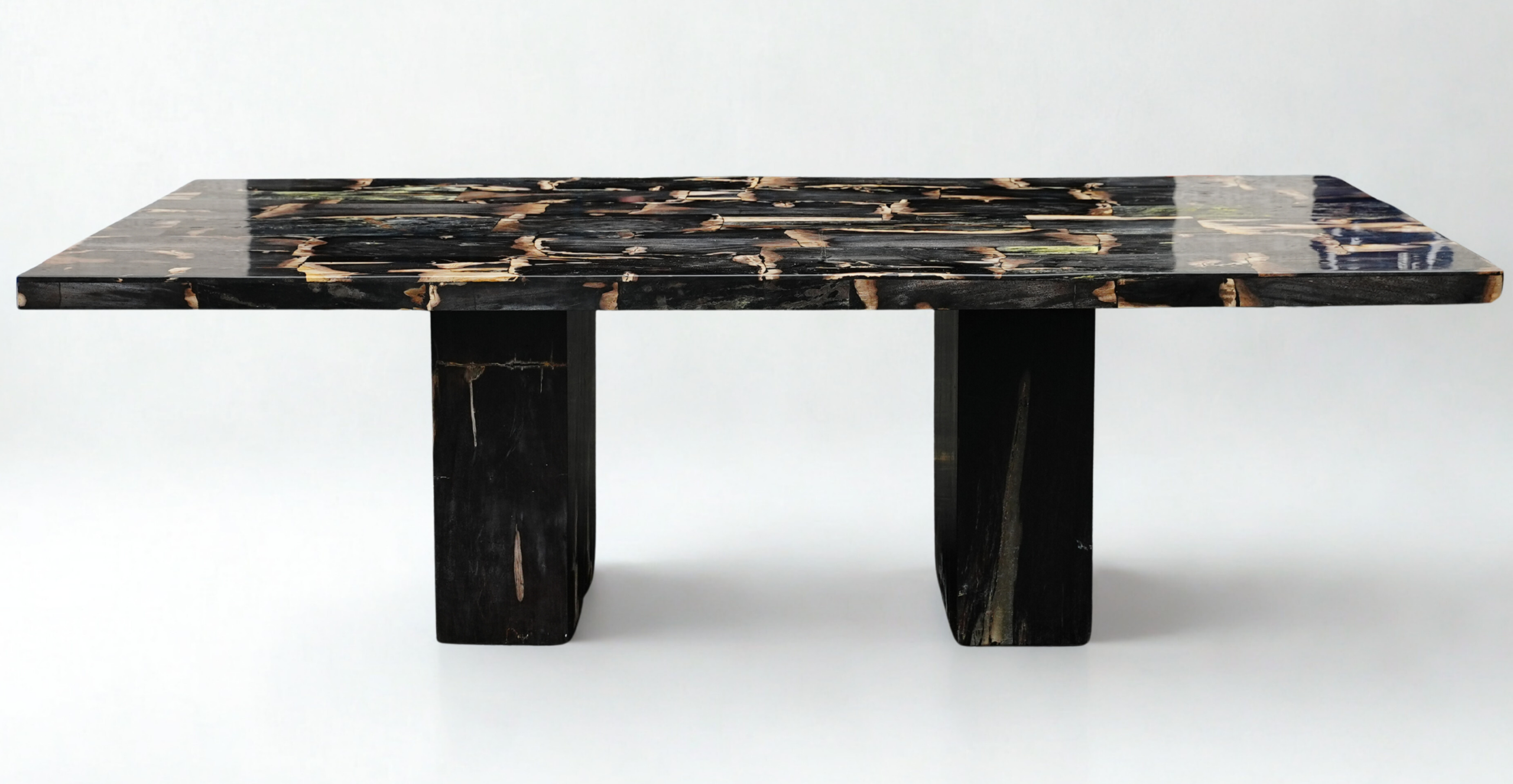 Table bois pétrifié rectangle