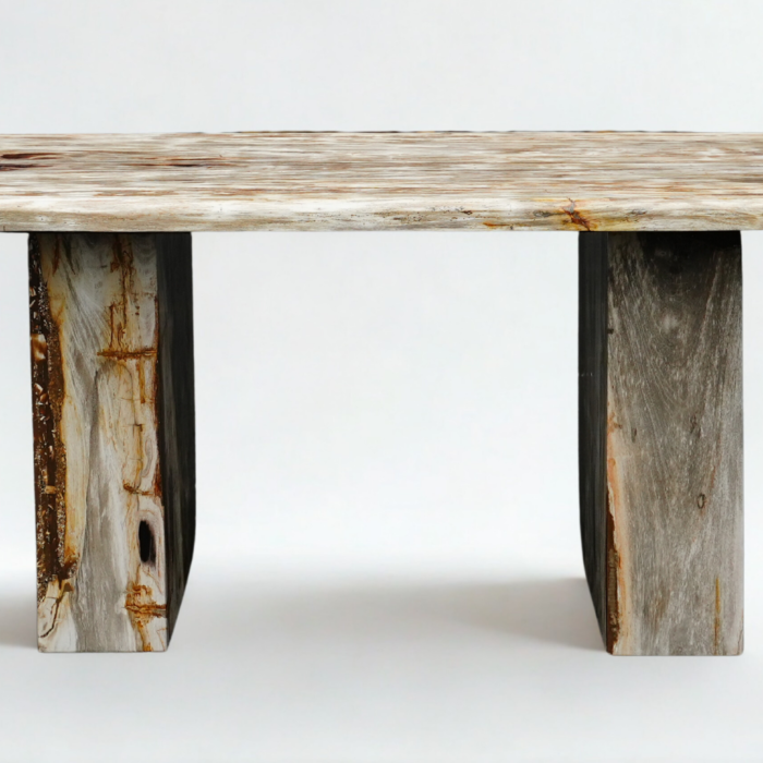 Table bois pétrifié rectangle