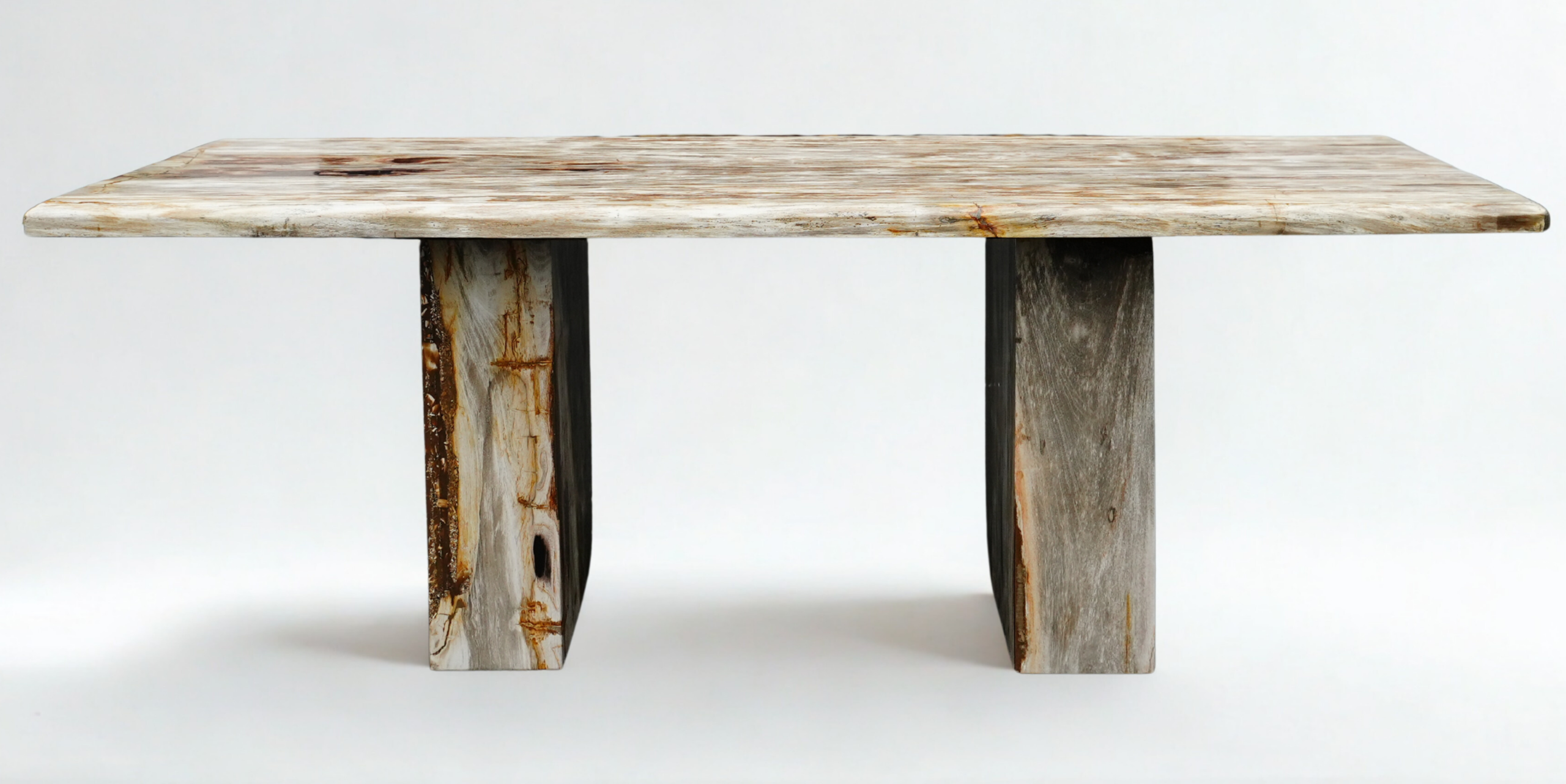 Table bois pétrifié rectangle