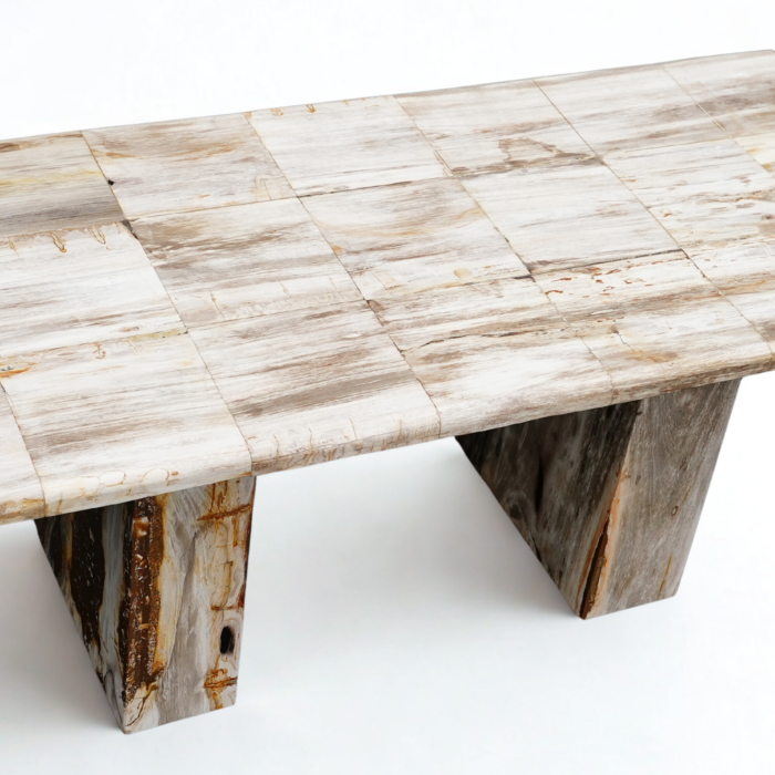 Table bois pétrifié rectangle