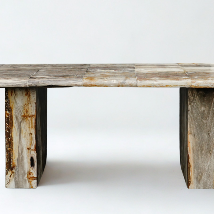Table bois pétrifié rectangle