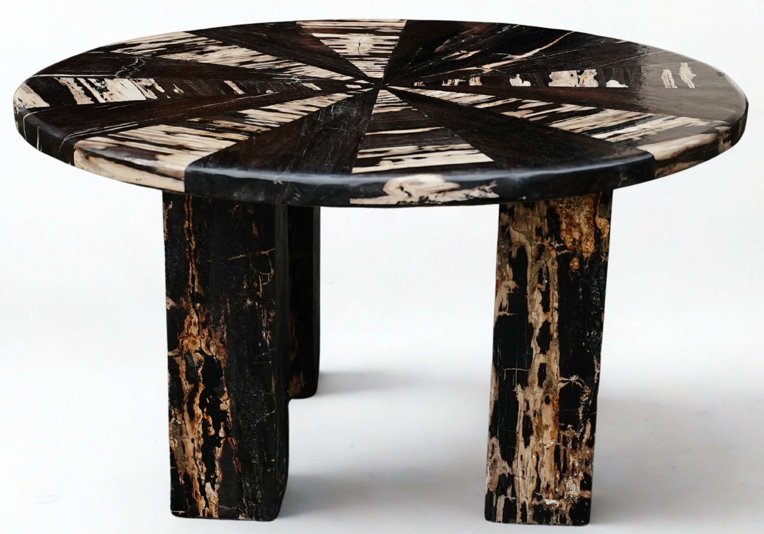 Table bois pétrifié ronde