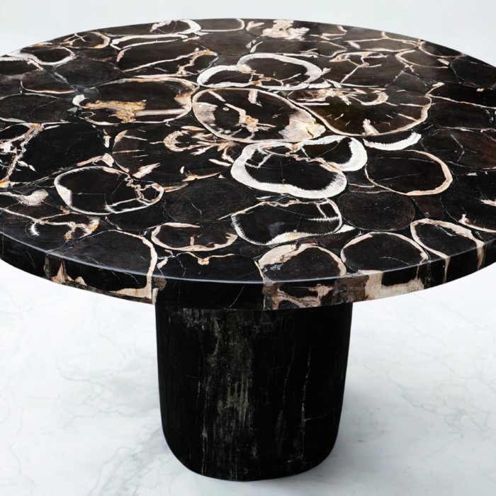 Table bois pétrifié ronde