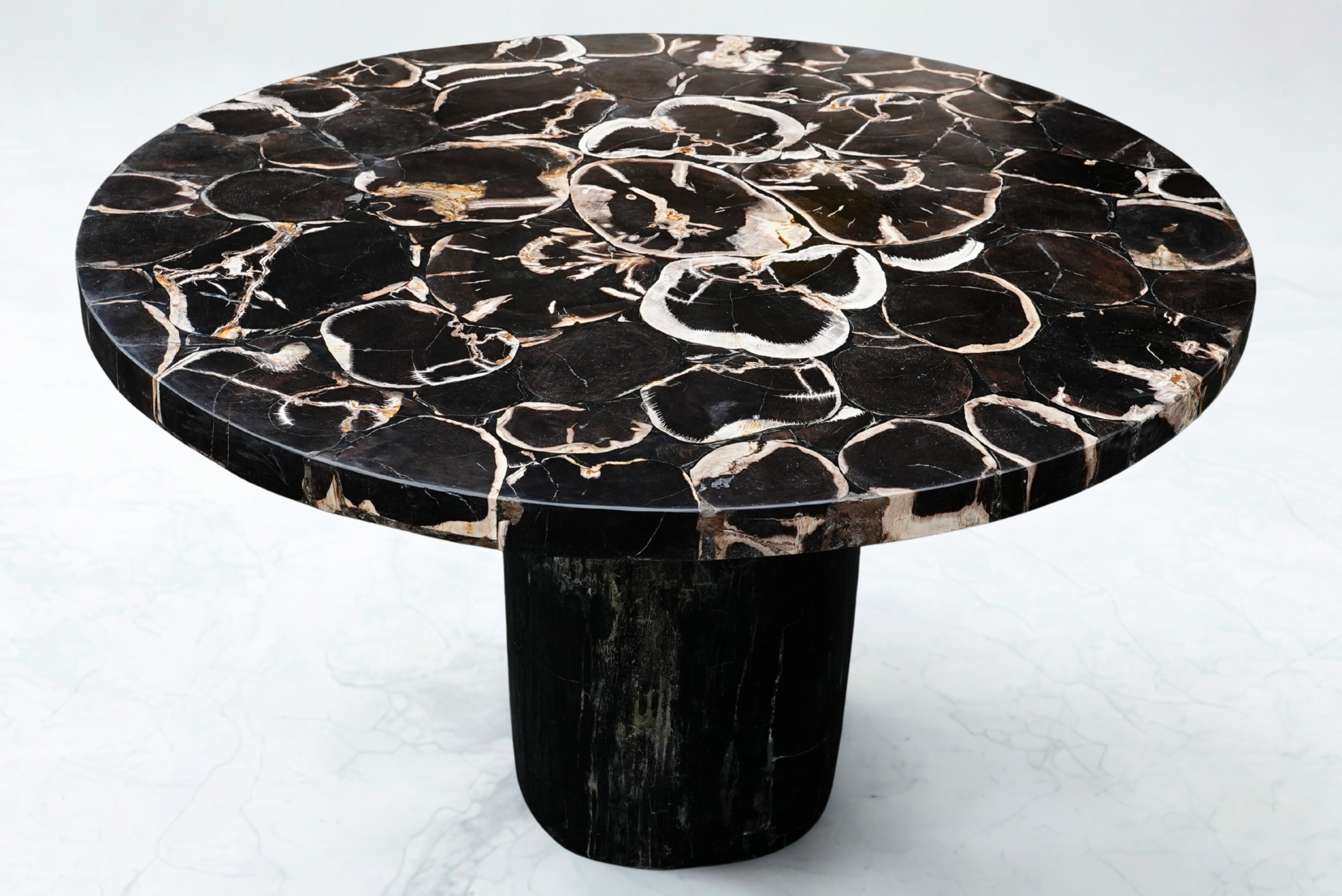 Table bois pétrifié ronde