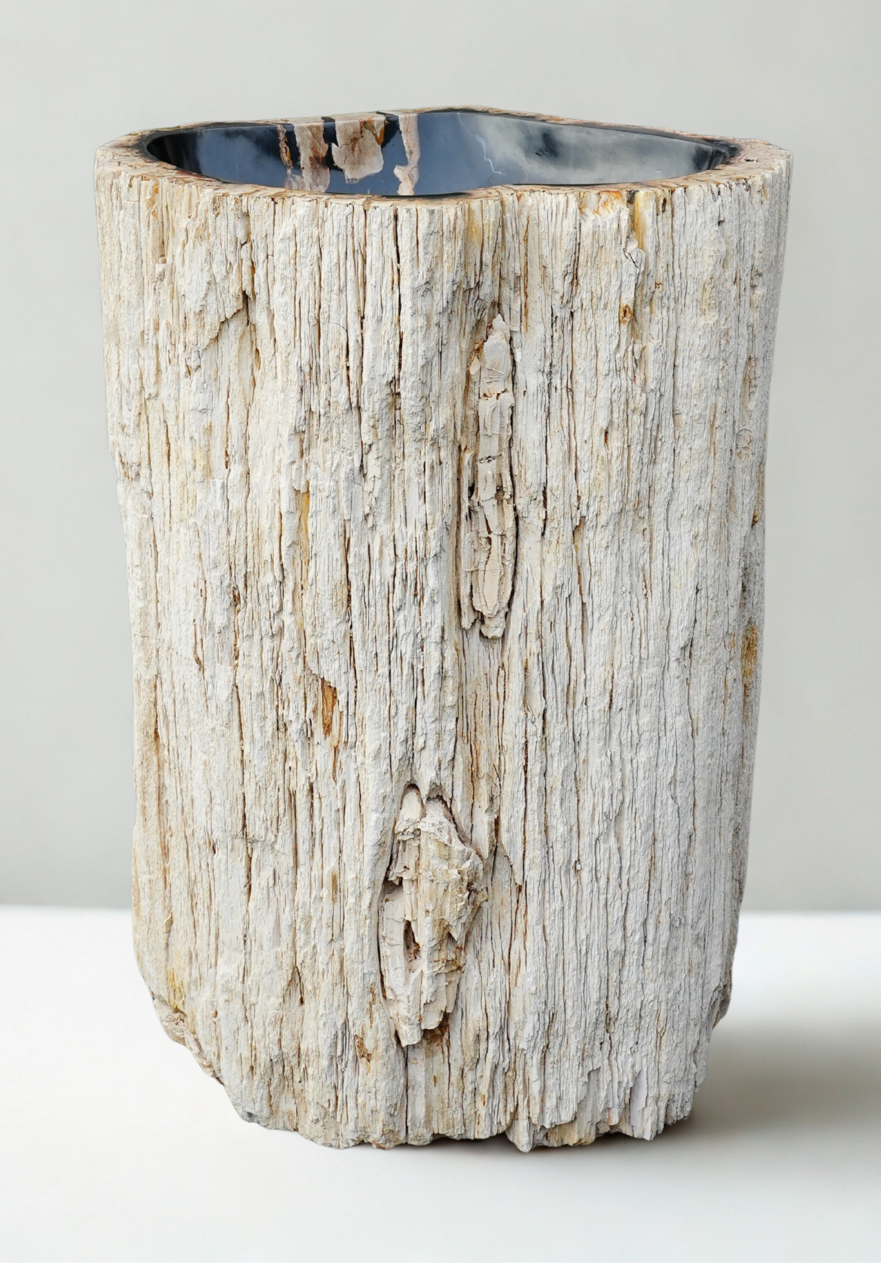 Vasque bois pétrifié