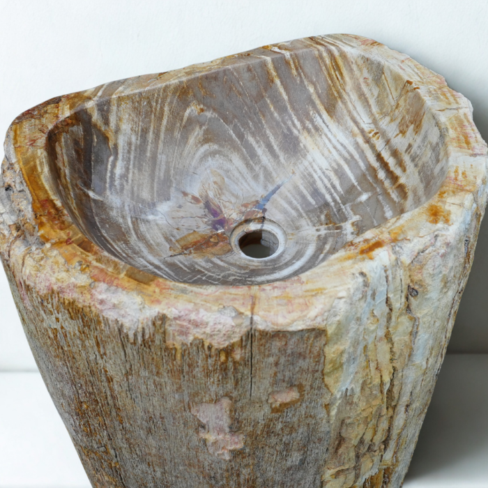 Vasque bois pétrifié #9