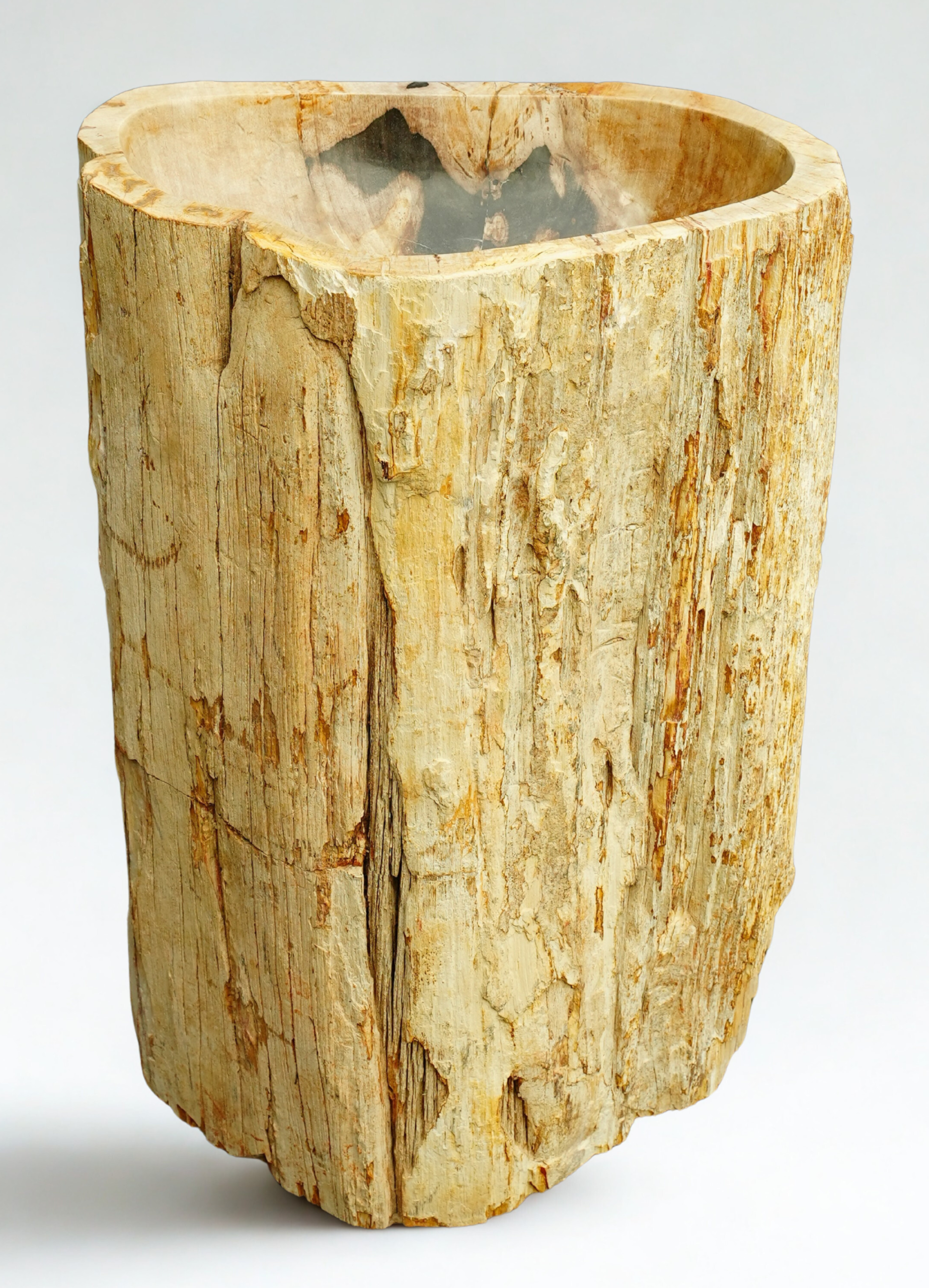 Vasque bois pétrifié